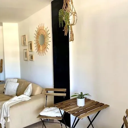 Apartment Palm Trees - Americas