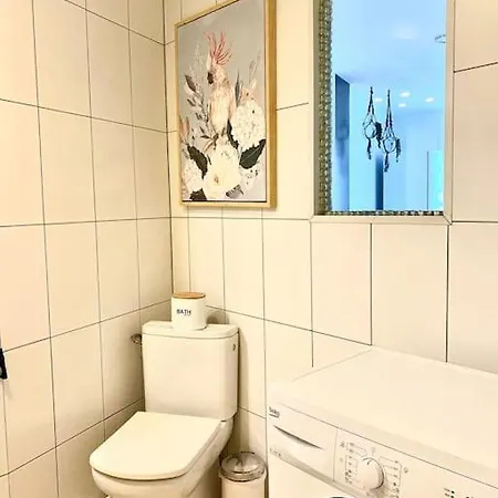 Palm Trees - Americas