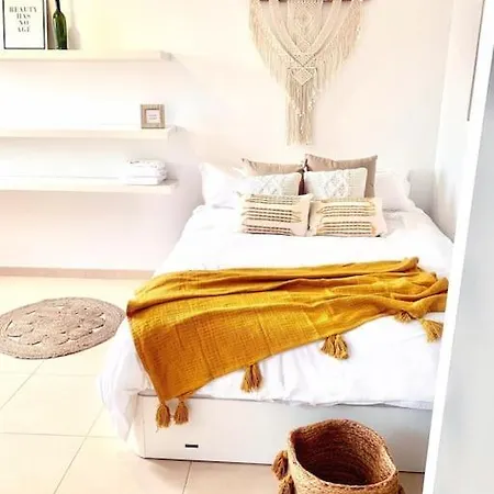 Palm Trees - Americas