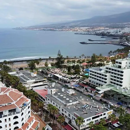 Apartment Palm Trees - Americas