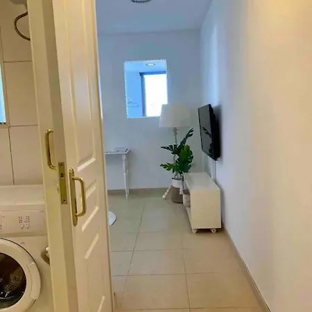 Apartment Palm Trees - Americas