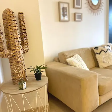 Apartment Palm Trees - Americas