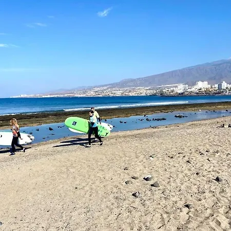 Palm Trees - Americas Arona (Tenerife)